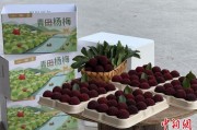 梦见香菜高速赋能产业升级：一条“杨梅路”的致富密码