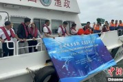 梦见香菜浙江今年计划放流种类海洋水生生物苗种超15亿单位