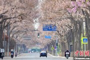 梦见香菜共建“花园城市” 北京这场议政会“百花齐放”